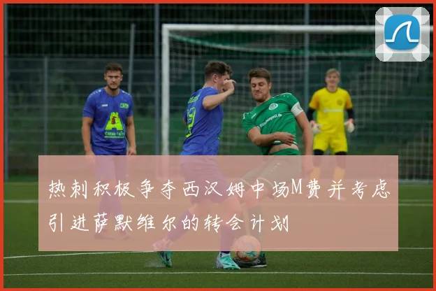 热刺积极争夺西汉姆中场M费并考虑引进萨默维尔的转会计划