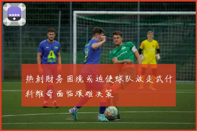 热刺财务困境或迫使球队放走武什科维奇面临艰难决策