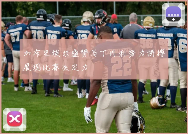 加布里埃尔盛赞马丁内利努力拼搏展现比赛决定力