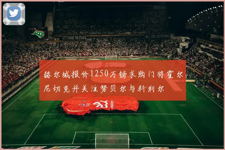 赫尔城报价1250万镑求购门将霍尔尼切克并关注努贝尔与科利尔